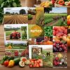 Agrinice – Organic Food & Farm Website Template Kit for Elementor